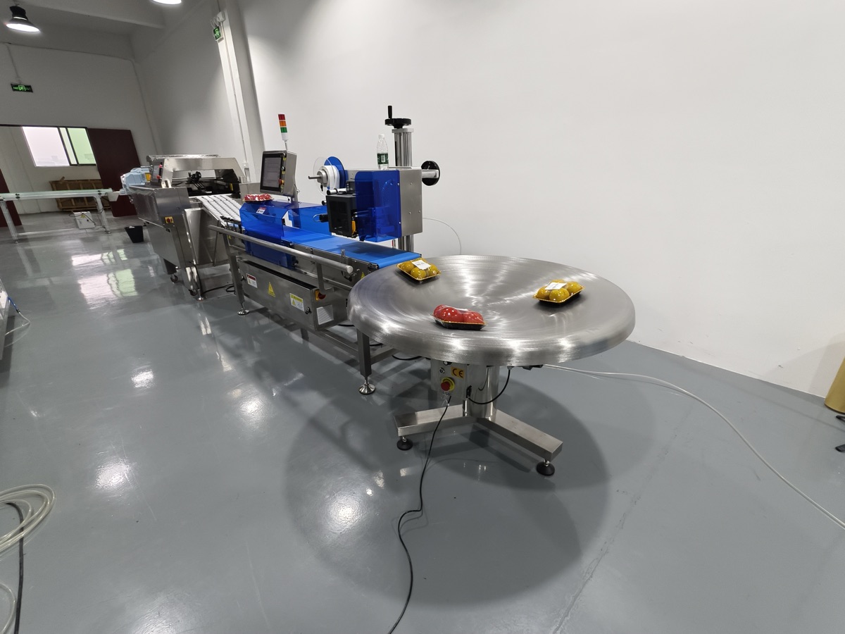 Tray wrapping packing machine tested before loading