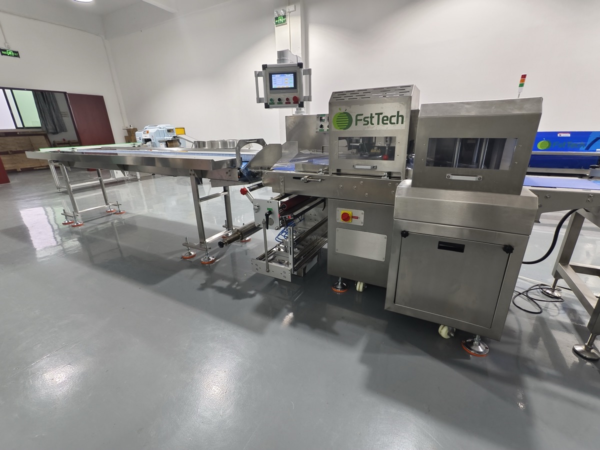 Vegetable flow-pack machine tested before shipment