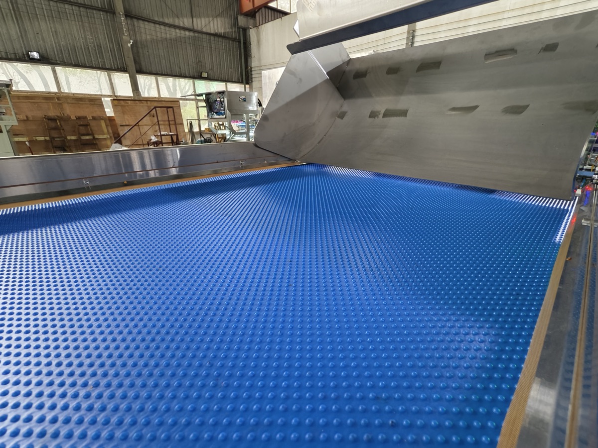 Conveyor feeding chili into the optical sorting machine