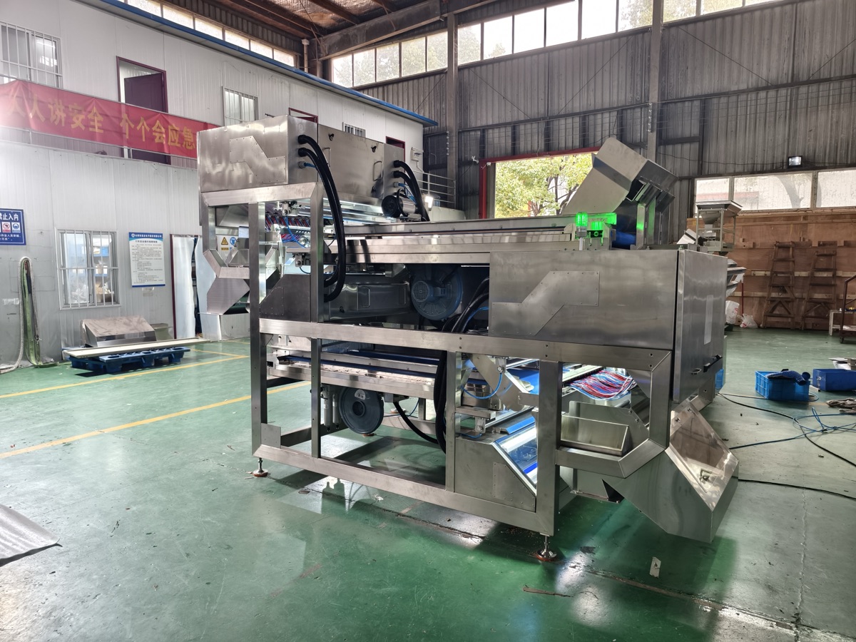 Side view of the chili optical sorting machine