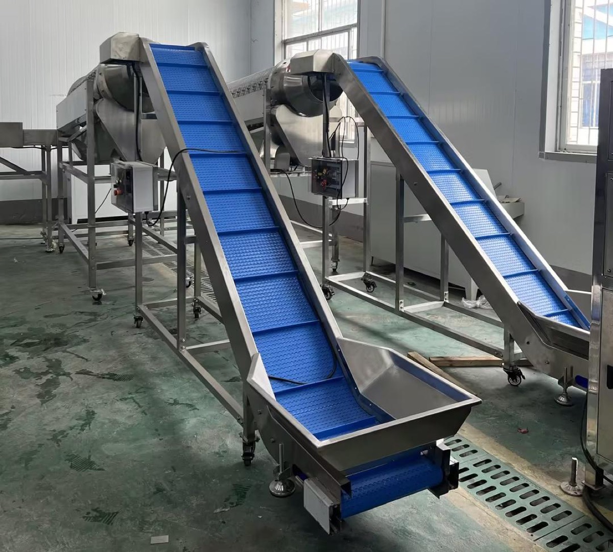 Green bean processing line for a fresh-cut processor in the United States
