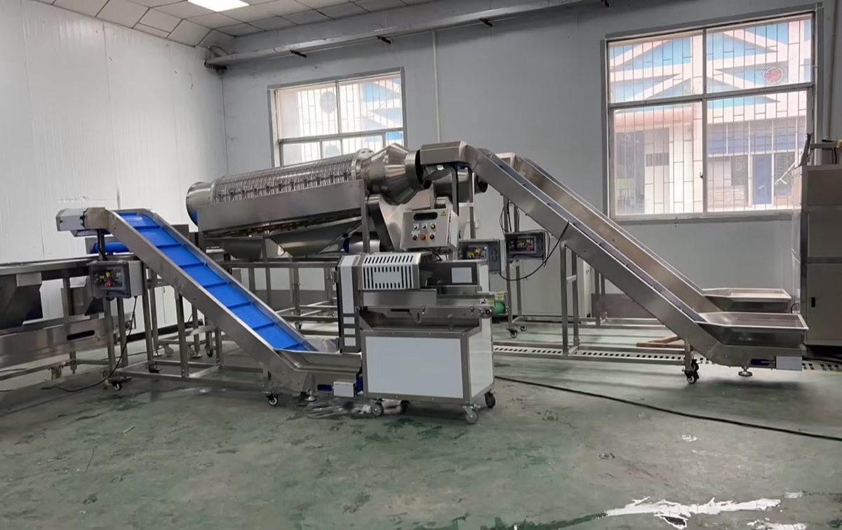 Green bean washing and dewatering equipment on the line