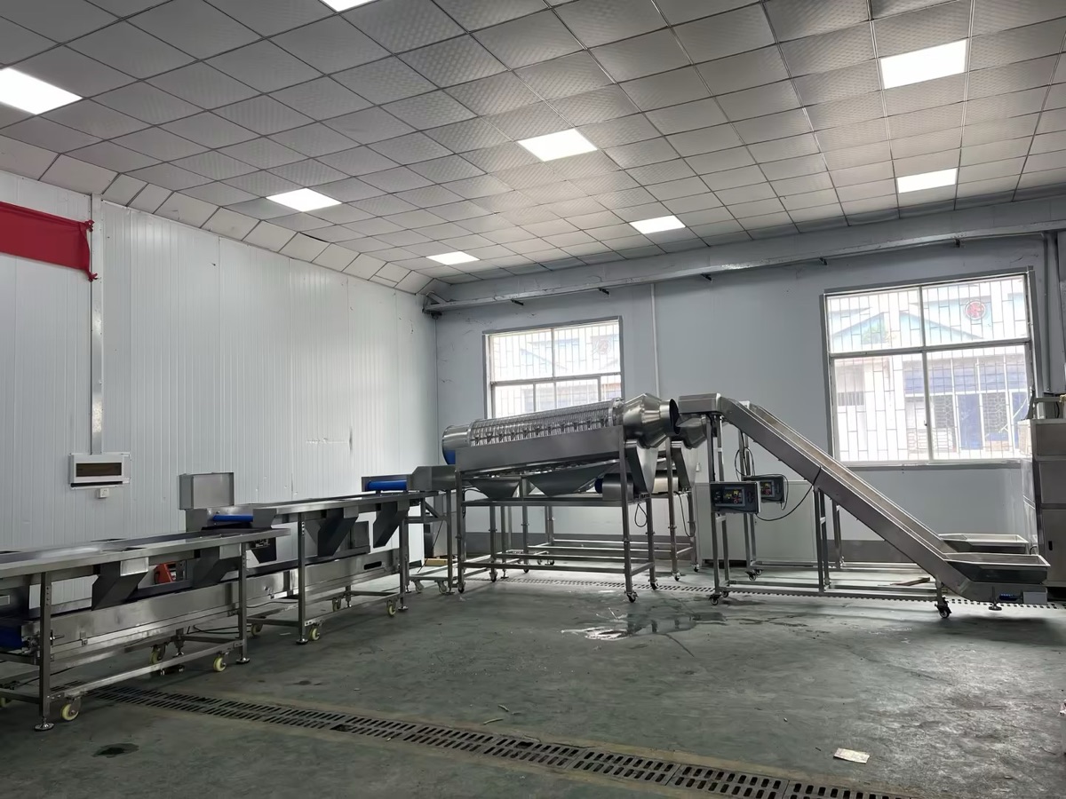 Green bean line equipment prepared for shipment