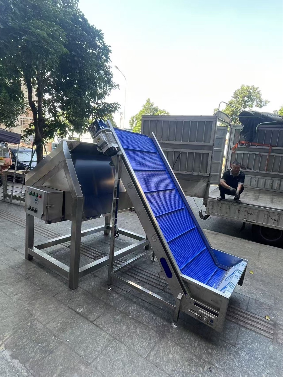 Lychee peeling machine built for an orchard in Australia