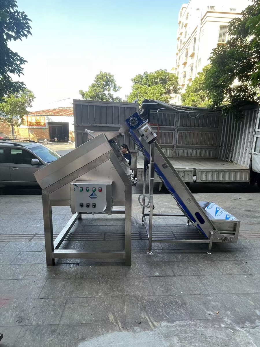 Lychee peeling machine with fruit elevator