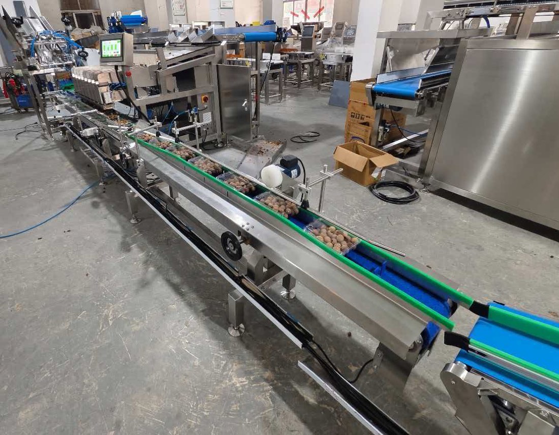 Punnet closing conveyor pressing lids shut after filling
