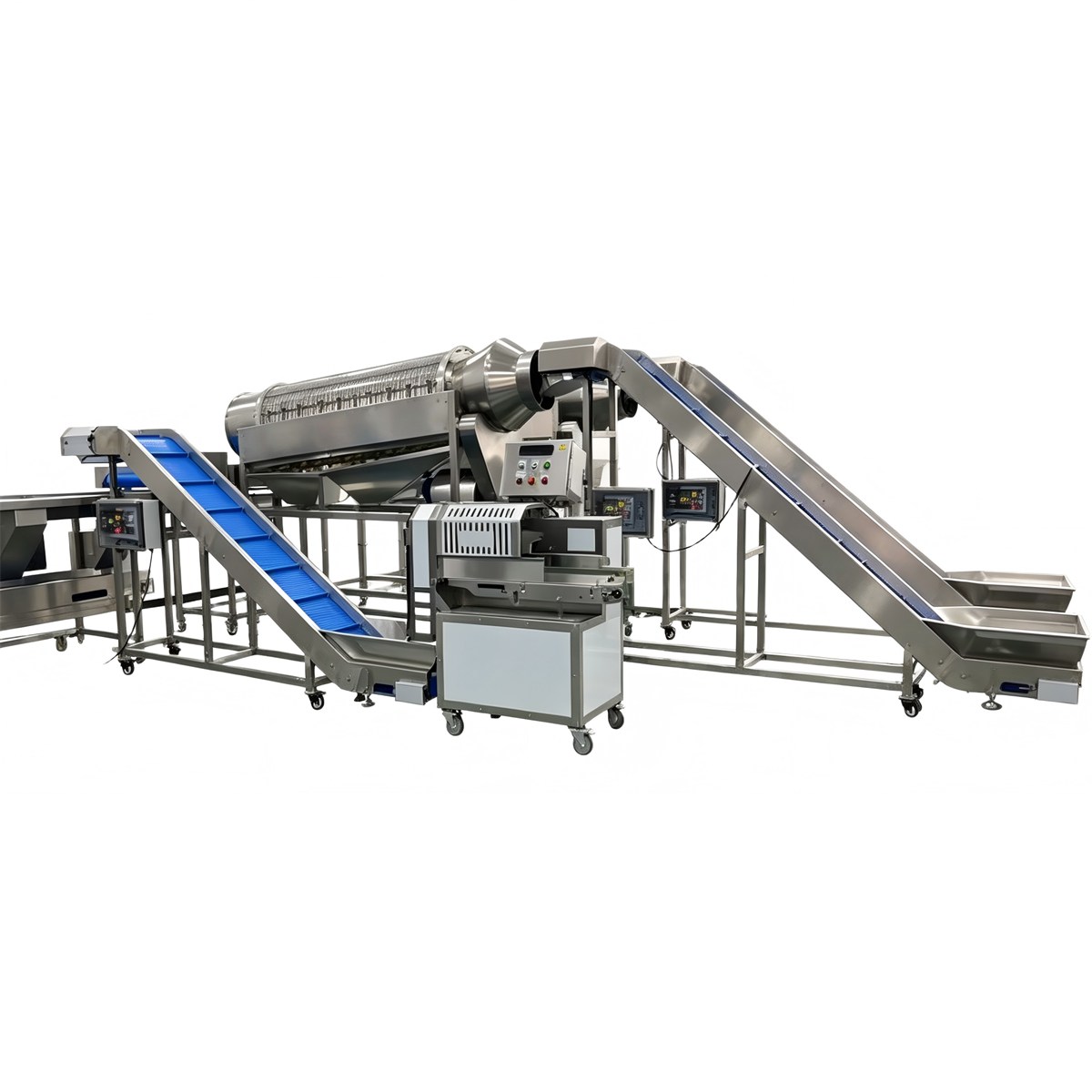Green bean inspection and transfer conveyor