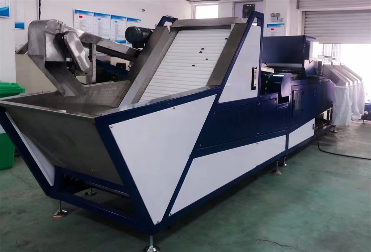 Dates AI optical sorting machine