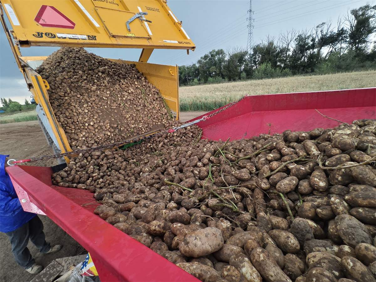 Receiving hopper receiving bulk produce