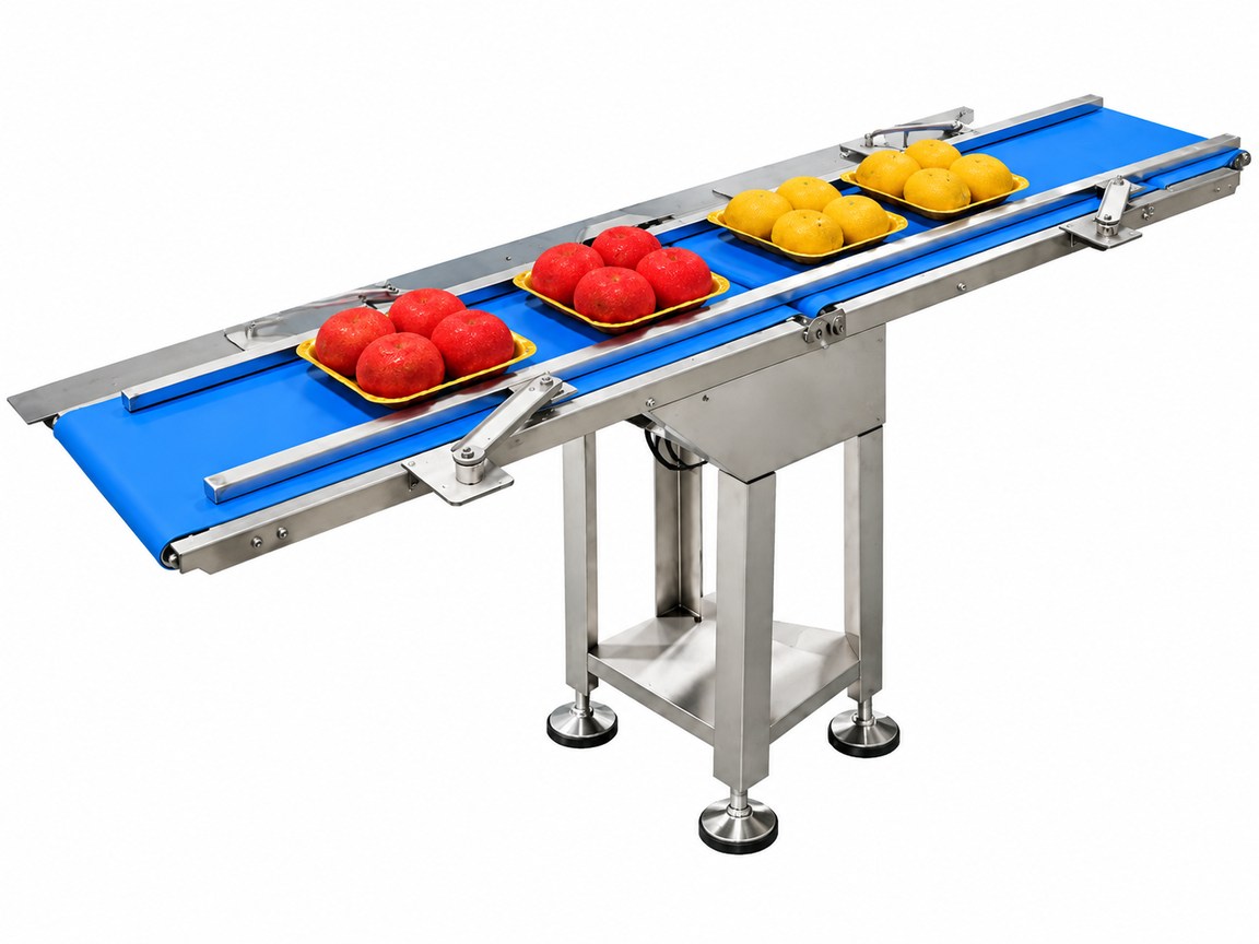Conveyor infeed for the vegetable packing line